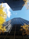 Two facing skyscrapers, angle view, yellow trees, midtown NYC
