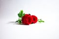 Two fake red roses made of plastic and cloth Royalty Free Stock Photo