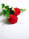 Two fake red roses made of plastic and cloth Royalty Free Stock Photo