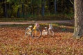 Two family bikes are parked in the autumn park.