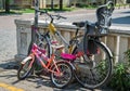 Two family bikes parked at the Center of Novi Sad