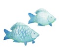 Two fantastic blue fish. Illustration isolated on white background