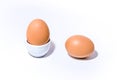 Two farm spotted brown orange chicken eggs in an egg stand and lie on white backdrop Royalty Free Stock Photo