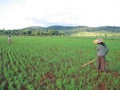 Two farmer women