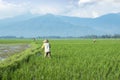 Two farmers with beautiful mountain background