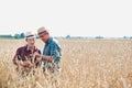 Two farmers examining wheat crop in field