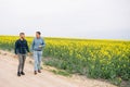 Two farmers in a field examining rape crop. Agribusiness concept. agricultural engineer standing in a rape field Royalty Free Stock Photo