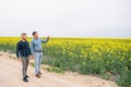 Two farmers in a field examining rape crop. Agribusiness concept. agricultural engineer standing in a rape field Royalty Free Stock Photo