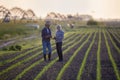 Two farmers standing in corn field talking Royalty Free Stock Photo