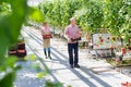 Full length view of two farmers walking while carrying tomatoes in crate at greenhouse