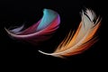 two feathers drifting together Royalty Free Stock Photo