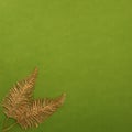 Two feathers heat birds on a green background in the lower left. Golden glitter feather Royalty Free Stock Photo