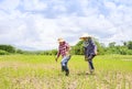 two female asian farmers holding young rice sprouts, working in paddy field Royalty Free Stock Photo