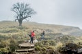 Two female climbers walking by trail