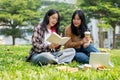 Two female college students are sitting on the grass in a campus park, discussing work outdoors Royalty Free Stock Photo