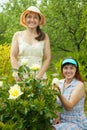 Two female florists Royalty Free Stock Photo