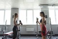 Two female friends using dumbbells for training arms at gym Royalty Free Stock Photo