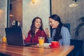 Two female friends using laptop and drinking coffee together Royalty Free Stock Photo