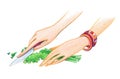 Two female hands cut a green salad with a knife. Drawing with colored pencils