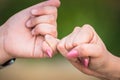 Two female hands friendship swear, holding little pinkie finger together.closeup, shallow depth of field. focused. blurred green b