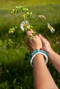 Two female hands holding a bouquet of flowers against the background of the field on a sunny day Royalty Free Stock Photo