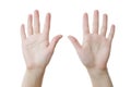 Two female hands, palms up Royalty Free Stock Photo