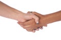 Two female hands shaking Royalty Free Stock Photo