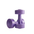 Two female mauve dumbbells for women