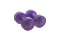 Two female mauve dumbbells for women