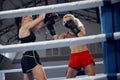 Two female professional boxers boxing at boxing ring at sport gym. Two muscular athletes in boxing gloves sparring Royalty Free Stock Photo