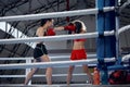 Two female professional boxers boxing at boxing ring at sport gym. Two muscular athletes in boxing gloves sparring Royalty Free Stock Photo