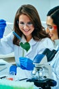 Two female scientists or researchers conducting scientific research on medical plant in science lab Royalty Free Stock Photo
