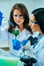 Two female scientists or researchers conducting scientific research on medical plant in science lab Royalty Free Stock Photo