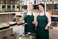 Two female sellers wearing apron Royalty Free Stock Photo