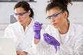 Two Female Technicians Working In Laboratory Royalty Free Stock Photo