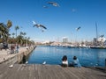 Two female tourists rest surrounded by seagulls in the old port of the city of Barcelona. Catalonia, Spain