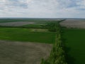 Two fields separated by a forest belt, aerial view. Agricultural landscape Royalty Free Stock Photo