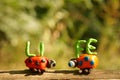 Two figures of ladybirds made of plasticine. Next to it is the inscription life Royalty Free Stock Photo