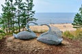 Two figures of swan woven from rods mounted on a hill by a nature trail