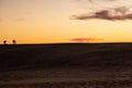 Two Figures Walking Along a Sand Dune At Dusk with Clouds at Corolla, North Carolina, Royalty Free Stock Photo