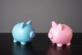 Two figurines piggy banks in blue and pink colors. Royalty Free Stock Photo