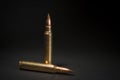 two 223 file rounds with dramatic lighting Royalty Free Stock Photo
