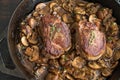 Filet Mignon in Mushroom Wine Sauce Royalty Free Stock Photo