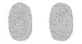 Two fingerprint patterns are composed of text and arranged side by side on a plain Royalty Free Stock Photo