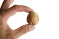 Two fingers of human hand holding a nut Royalty Free Stock Photo