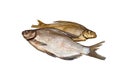 Two fish bream, one dried salted,other salted, cold smoked. Royalty Free Stock Photo