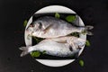 Two fish with fresh herbs on plate, top view. Royalty Free Stock Photo