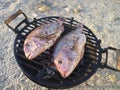 Two fish on grill Royalty Free Stock Photo