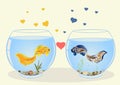 Two fish in love