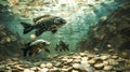 Two fish swimming among shimmering coins in a sunlit underwater scene